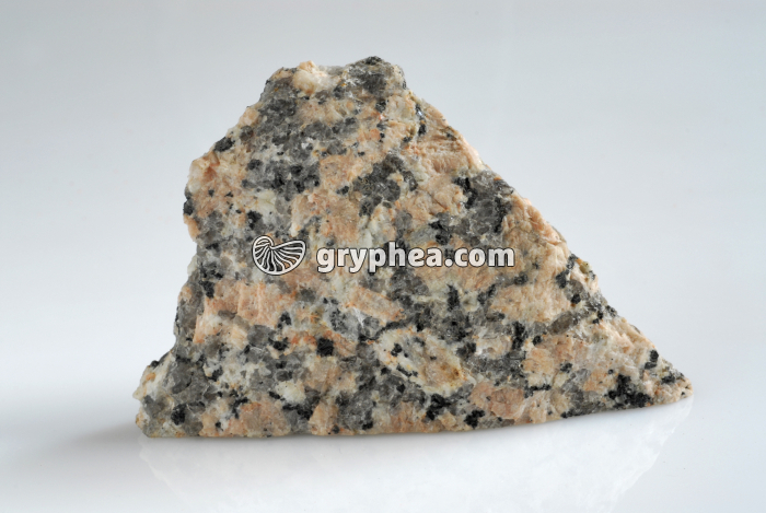 Granite rose - gryphea.com